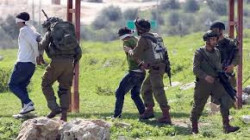 إعتقال 19 فلسطينياً وإصابة آخرين خلال اقتحام قوات الاحتلال مناطق في الضفة الغربية